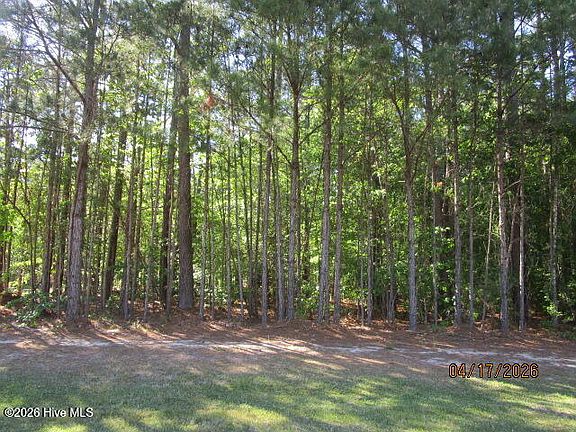 5th image of 47 Boshers Point Dr Lot 47