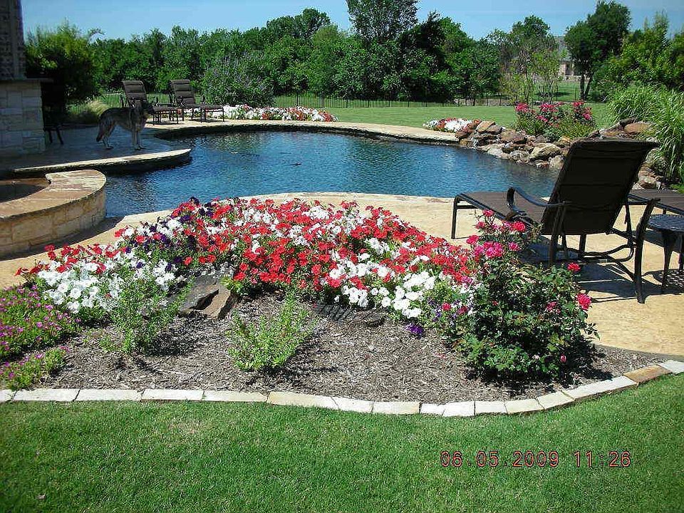 Pool View of Treeline in Rear of Property