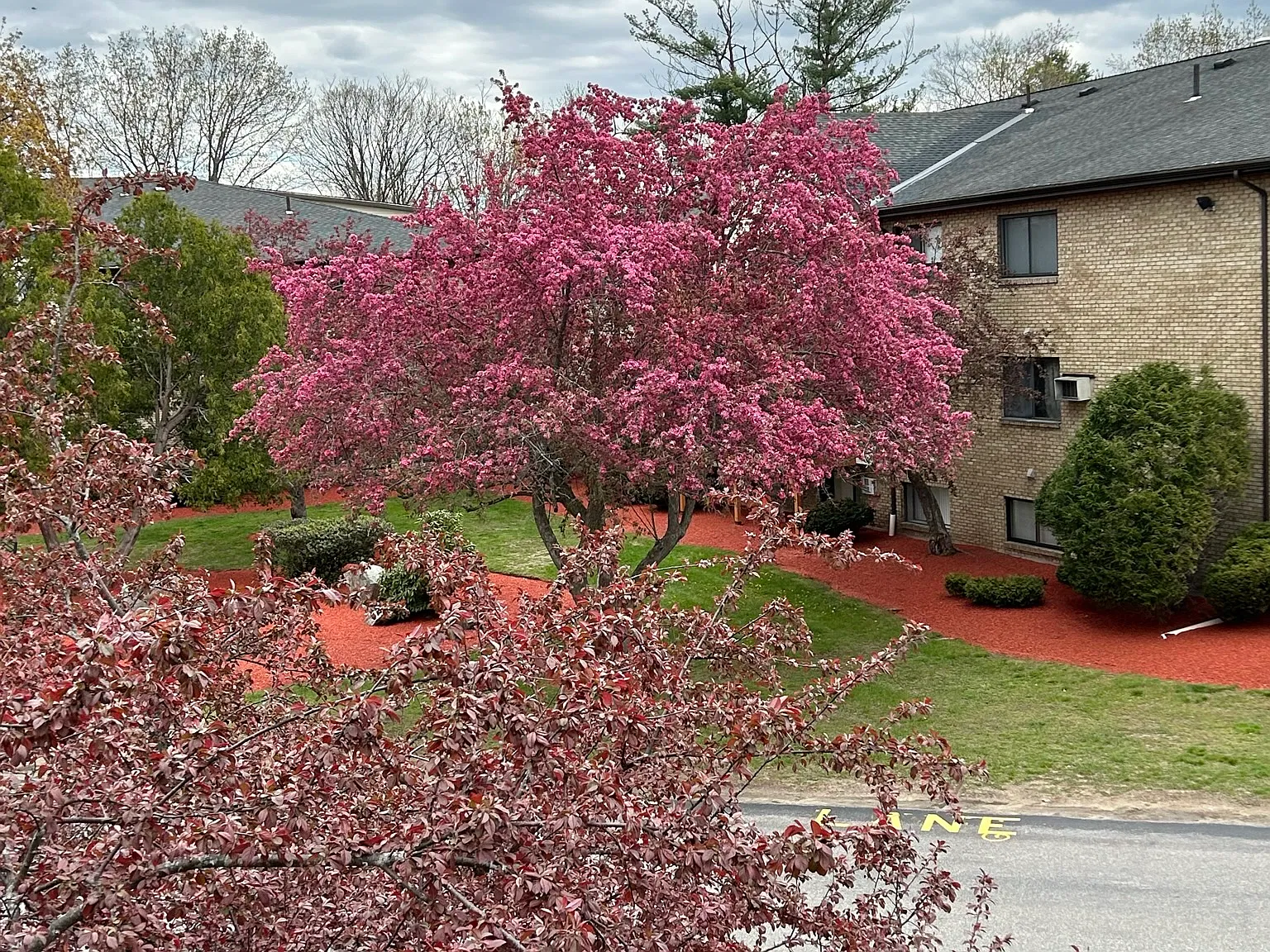 8 Lancelot Ct — Photo 1