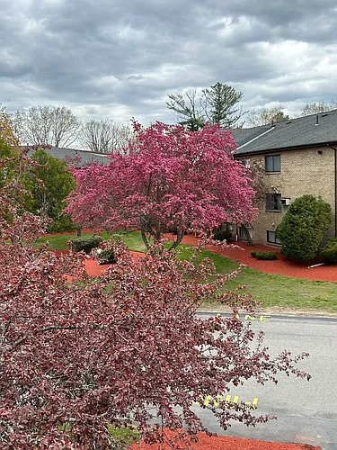8 Lancelot Ct #24 Photo 1