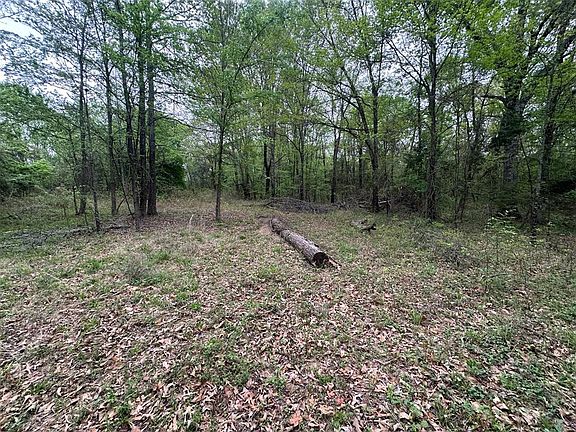 5th image of 226 Butler Pool Rd Lot 1