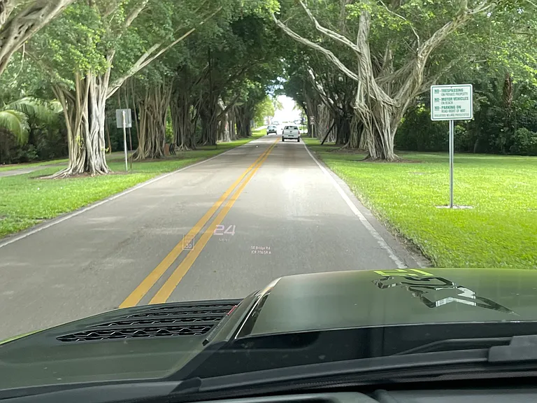 Banyan trees leading to jupiter island beach