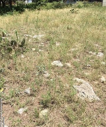 2nd image of 1768 Patty Dr