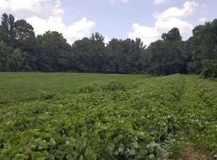 3070 State Route 125, Henderson, TN 38340