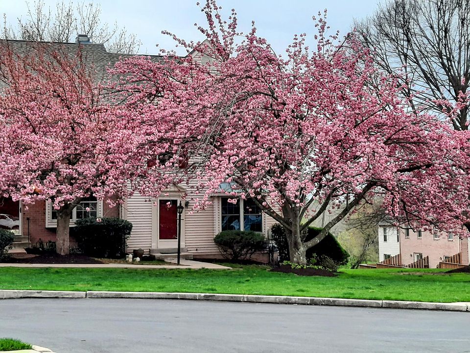 Spring Time!