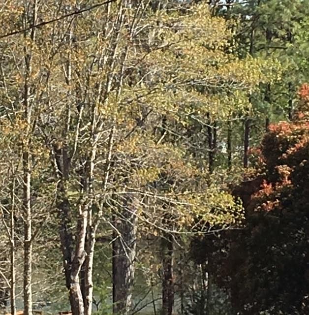 1st image of 0 Mill Creek Dr