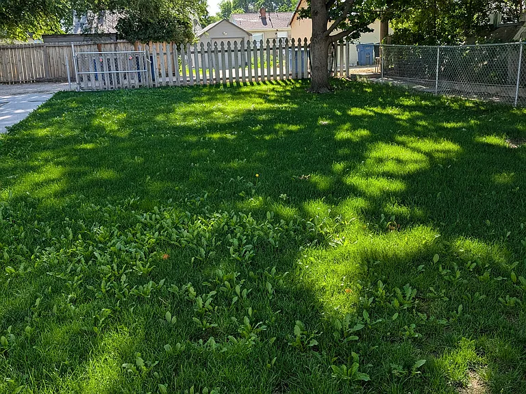418 S Elder St #418 — Photo 15