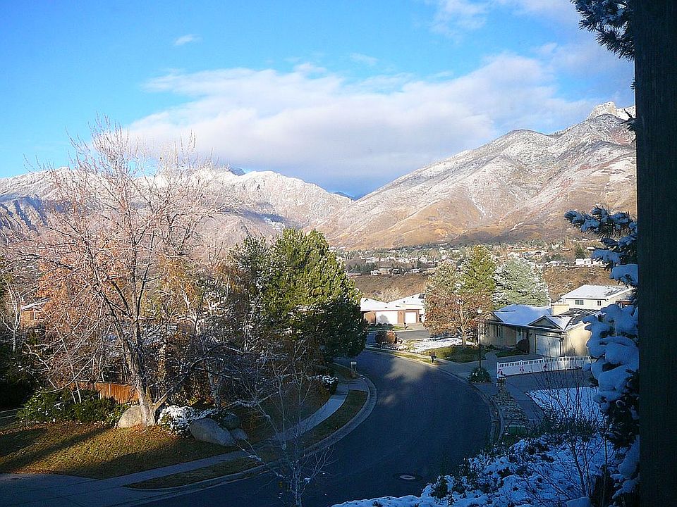 view from my front window.