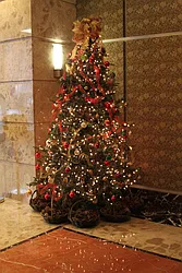 Rented by The Monterey