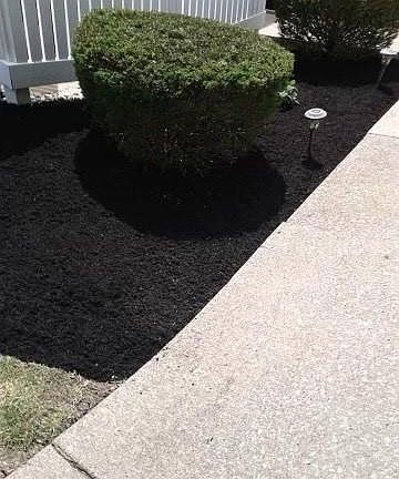 4th image of 4314 Hyde Park Dr #7