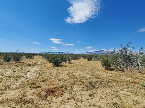 Budlong Avenue & 114th St W, Rosamond, CA 93560