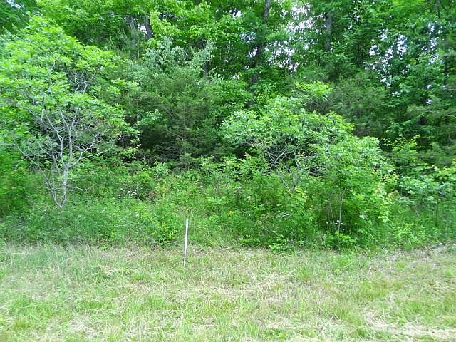 DSC04933