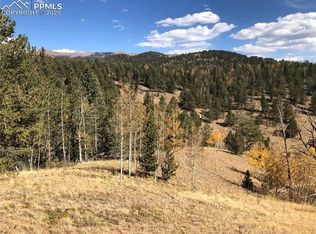 532 Fairview Dr, Cripple Creek, CO 80813