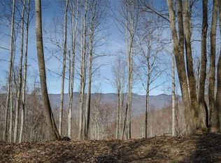 65 Old Growth Way, Sylva, NC 28779