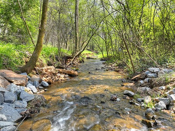 5th image of 1072 Tails Creek Rd