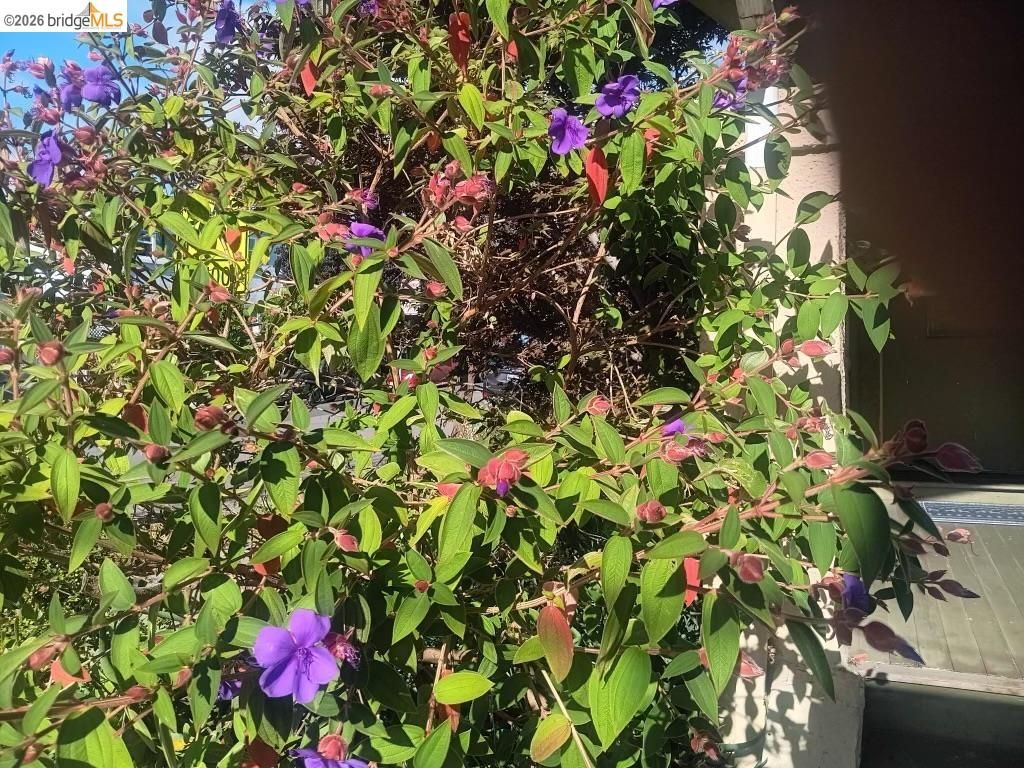 915 39th St, Oakland, CA - More