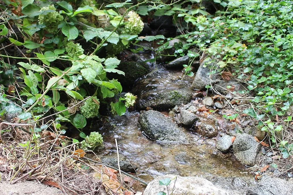 11622 Clear Creek Rd photo 1