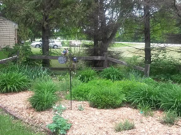 Front Perennial Garden