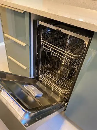 19" Dishwasher