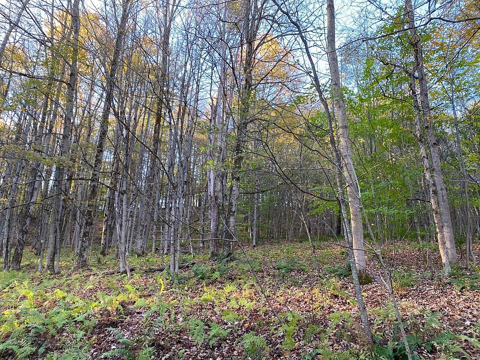 0 Creamery Rd, Richford, NY 13835 MLS 405931 Zillow