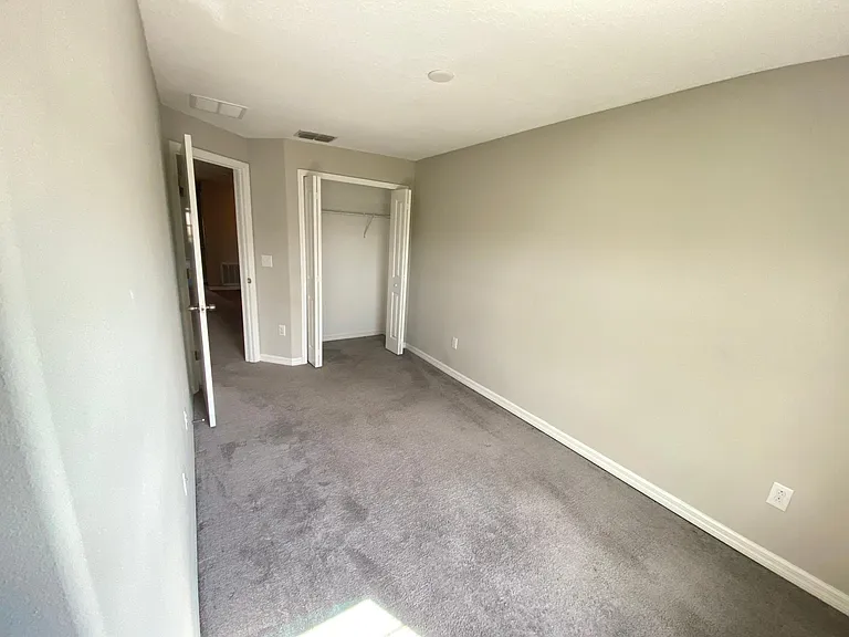 3810 Cat Mint St — Photo 13