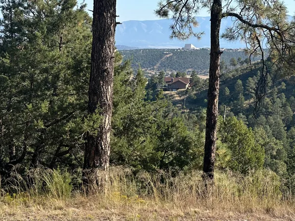 152 Twin Tree Loop, Alto, NM 88312