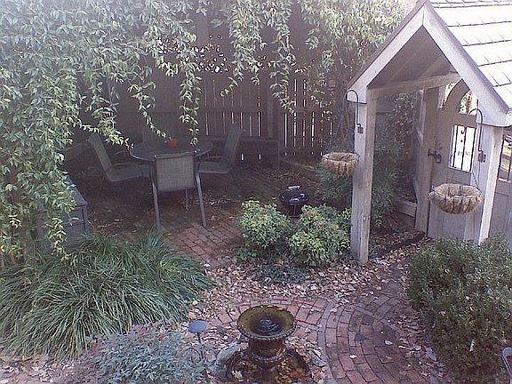 Back yard