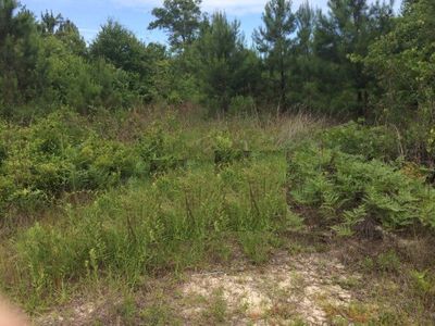 96 E Oglethorpe Hwy, Hinesville, GA, 31313