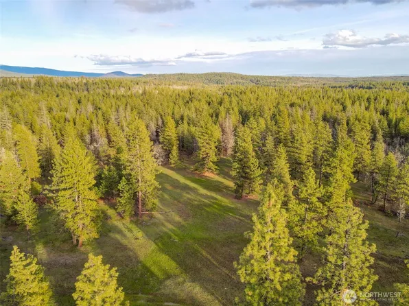 0 Lot 8 Greyback Mountain Road, Goldendale, WA 98620