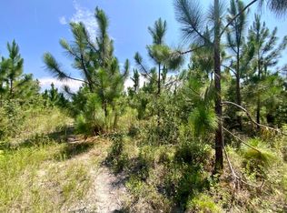 Vacant Ne Hickory Grove Rd, Pinetta, FL 32350