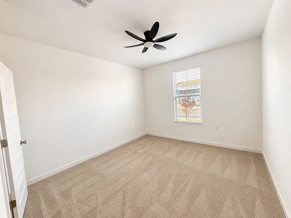 Kiwi Meadow Ct