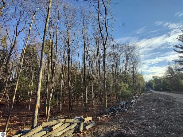 Moore Rd, Williamsburg, MI 49690