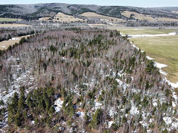 4th image of Beaver Meadow Rd