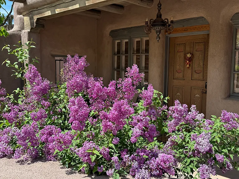 507 Agua Fria St — Photo 2