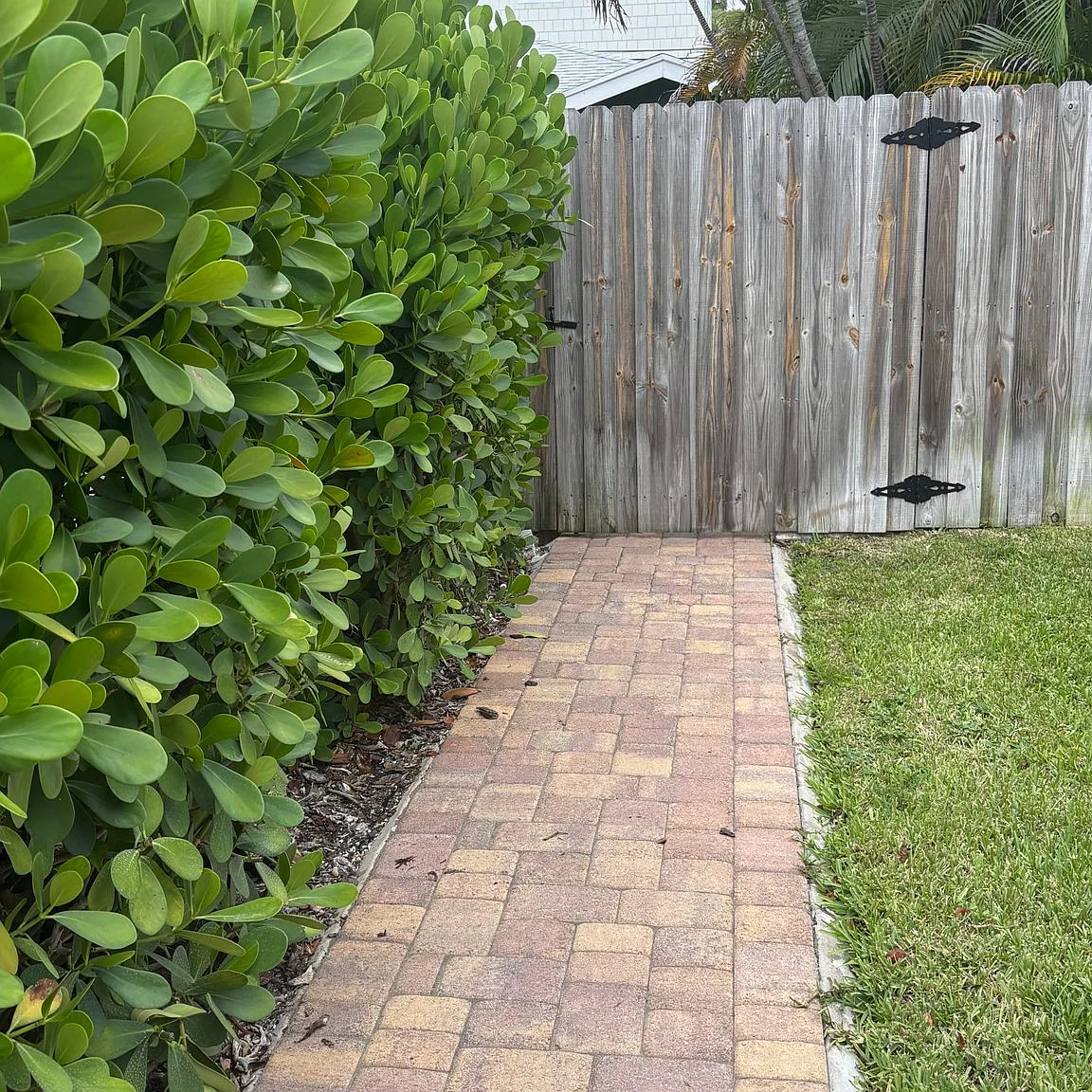 Private paradise close to everything downtown West Palm Beach — Photo 2