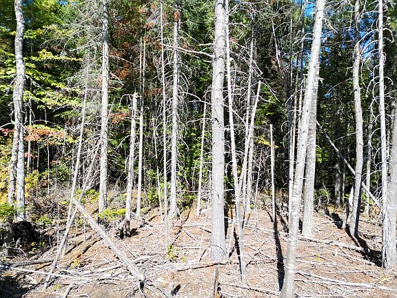 3rd image of Lot 14 Whitetail Way
