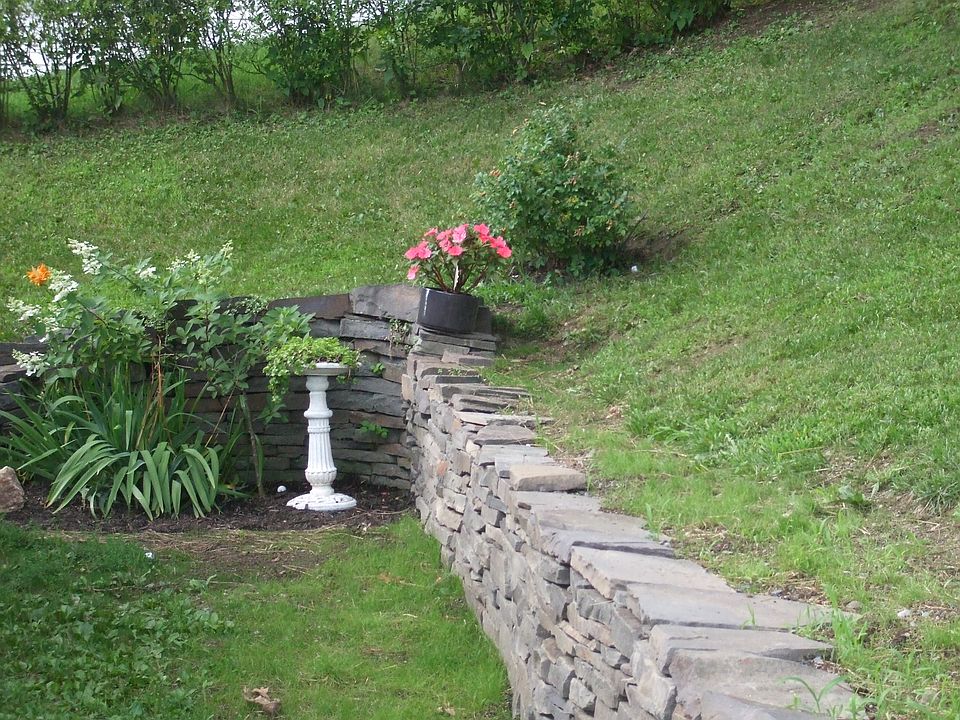 partial view of back yard