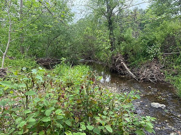 5th image of 0 Reed Rd
