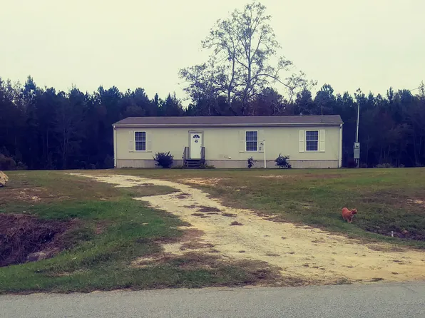 2040 Hiltonia Perkins Rd, Sylvania, GA 30467