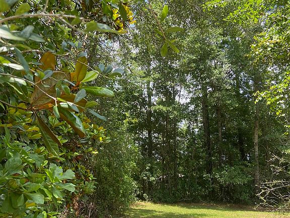 5th image of 18720 County Road 9