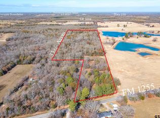 8213 Fm 1255, Grand Saline, TX 75140