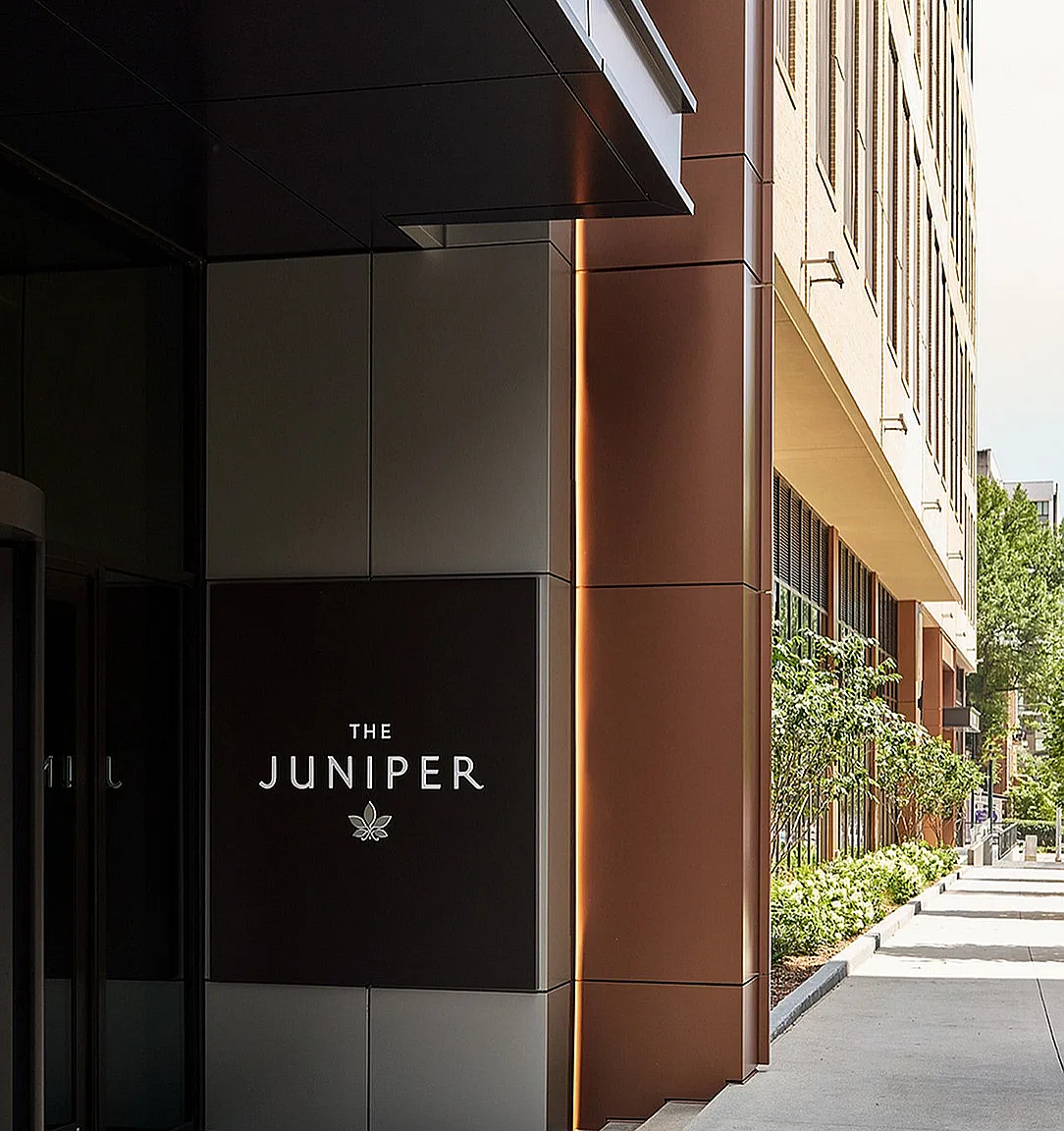 The Juniper — Photo 4