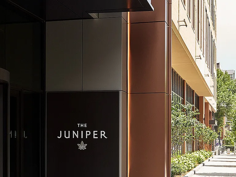The Juniper — Photo 4