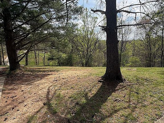 3rd image of 57 Carr Ln