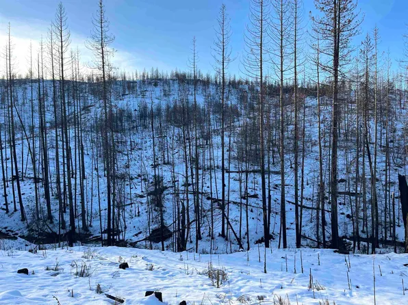 LOT 10 Rail Canyon Rd, Springdale, WA 99173
