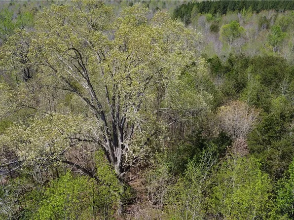 Amelia Springs Rd, Jetersville, VA 23083