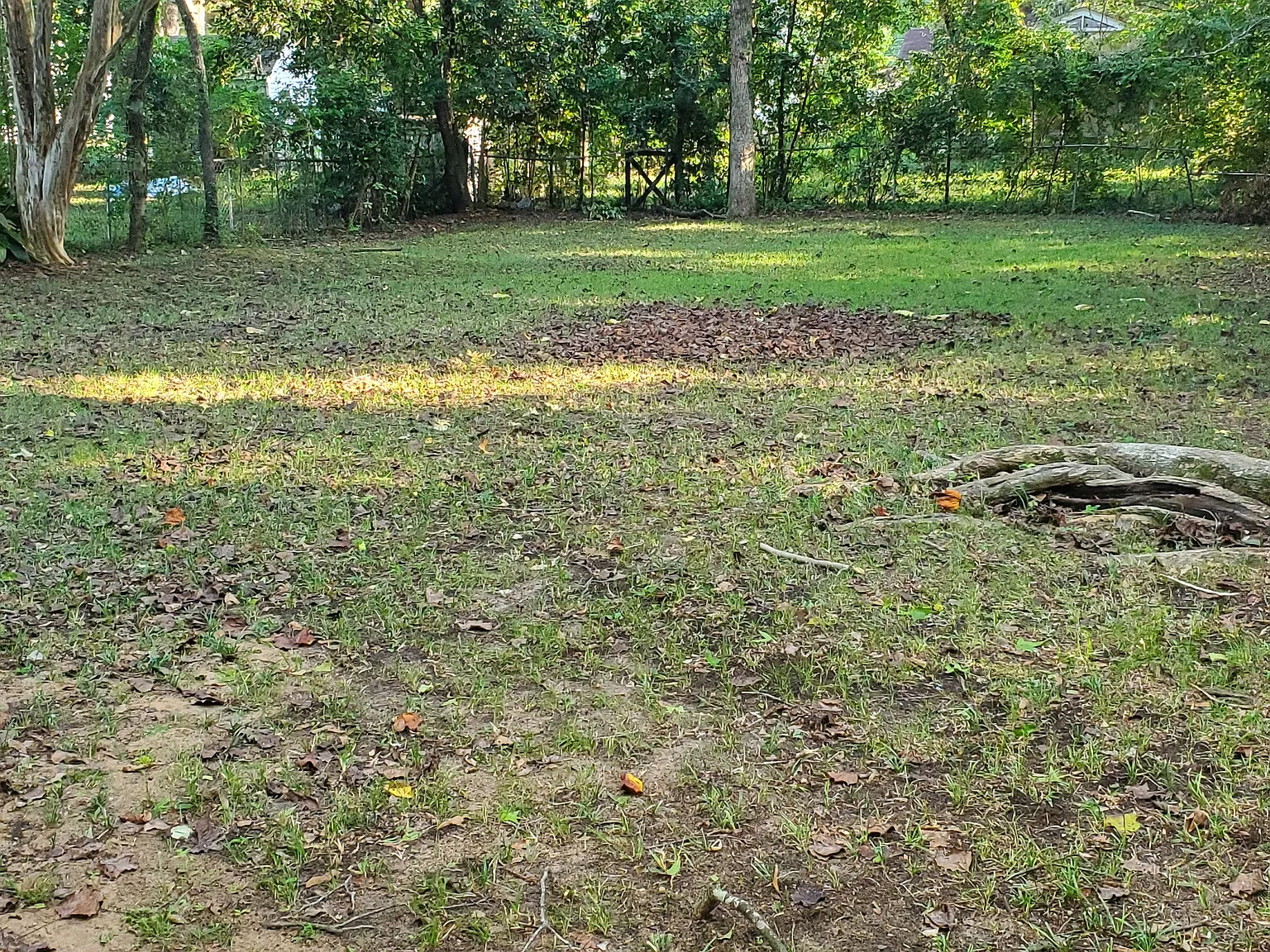 2 bed, 1090 sqft, $900 — Photo 2