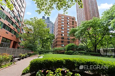 Sold by (Legacy) Elegran