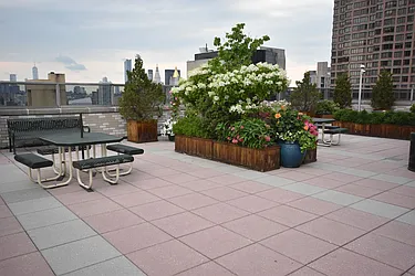 Rented by Luxury Habitat