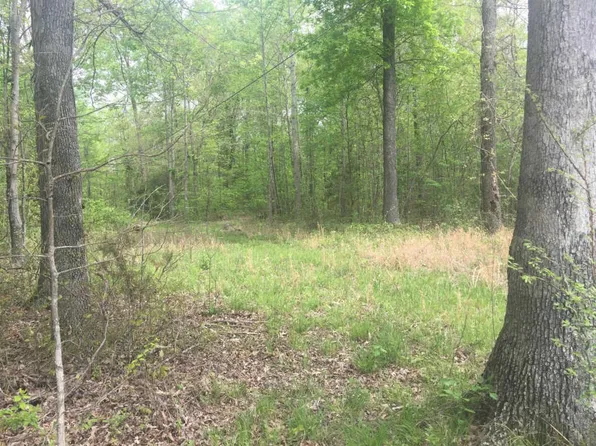 Highway 41a, Pleasant View, TN 37146